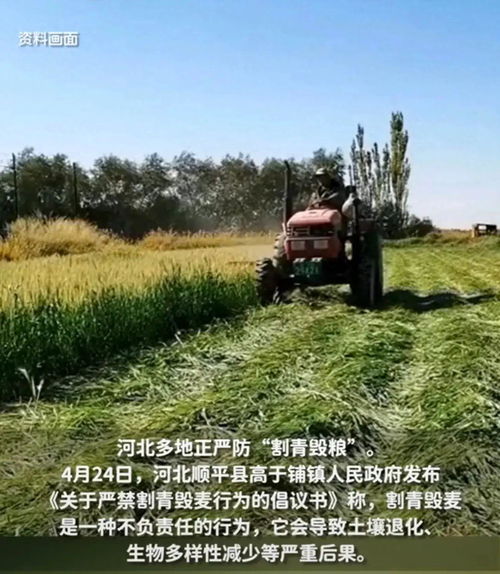 金色府谷迎盛会，海红果香镁业兴