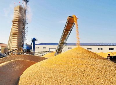 美国低价对华出口粮食 战略博弈与市场逻辑下的多维度考量