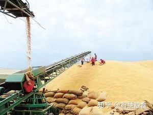 乡村私人粮食收购站 粮食流向与盈利模式探析