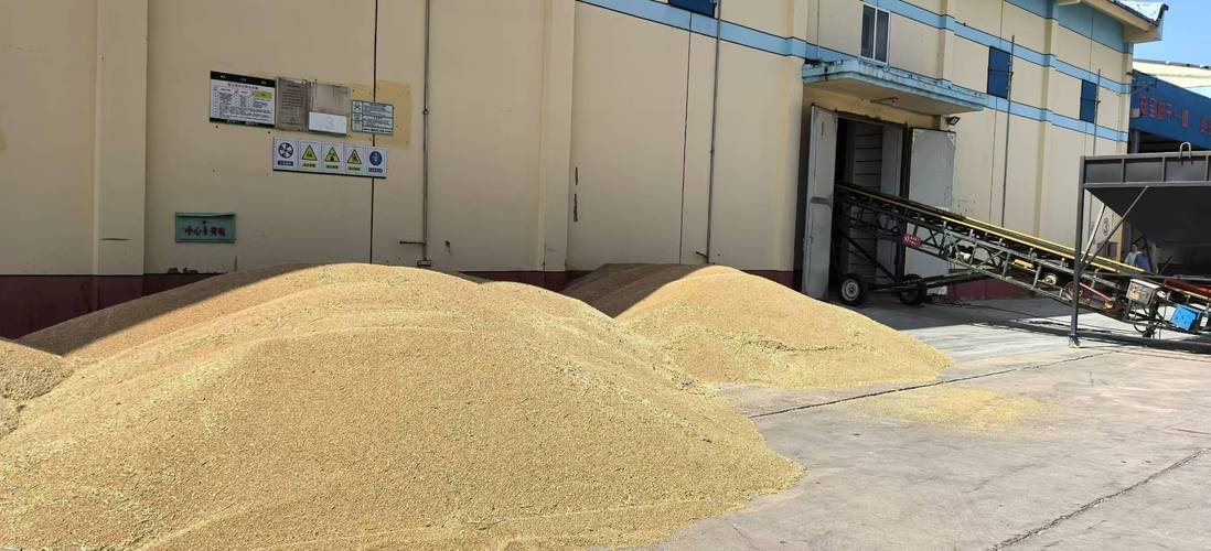 聚谷纳仓，穗满盈门——粮食收购点与粮油公司起名寓意与大全